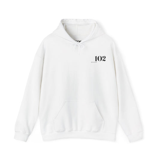 Disciple Hoodie — Matthew 28:19