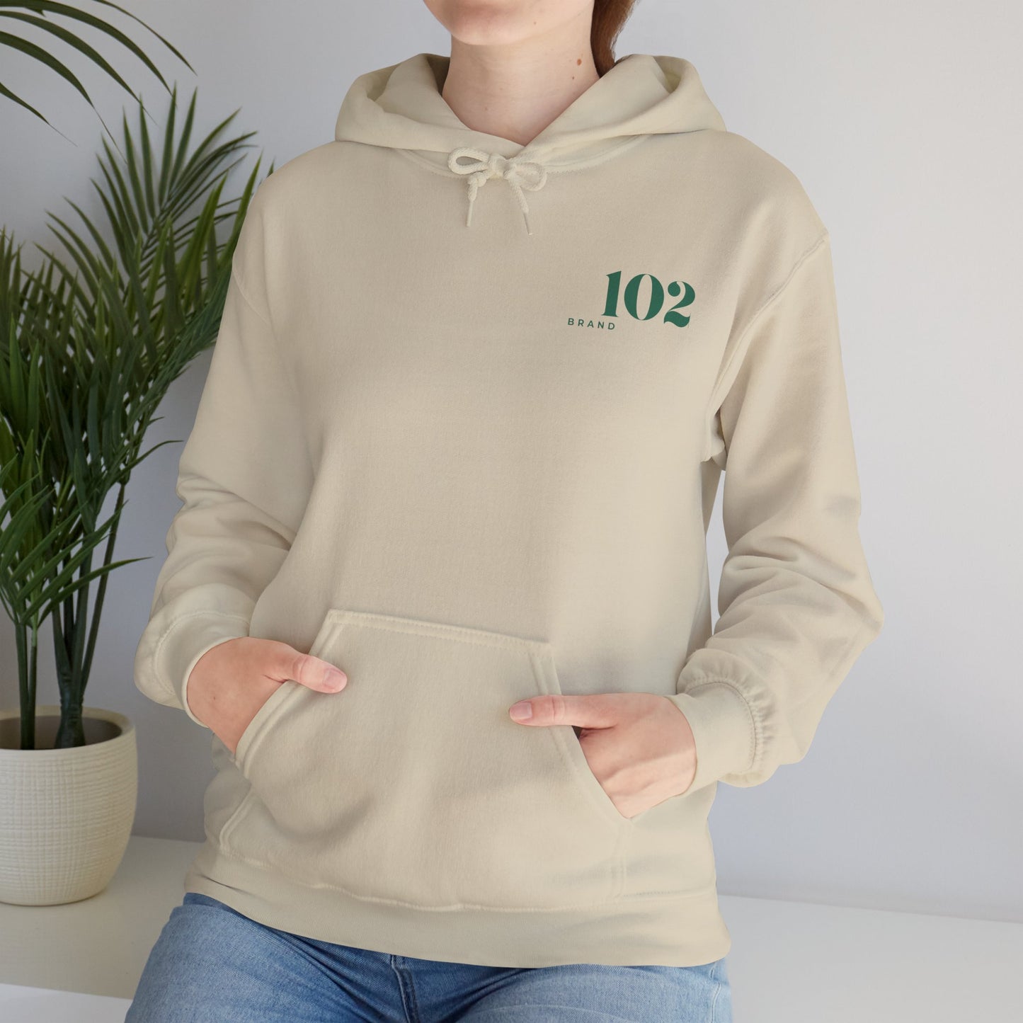 Repent & Believe Hoodie — Mark 1:15