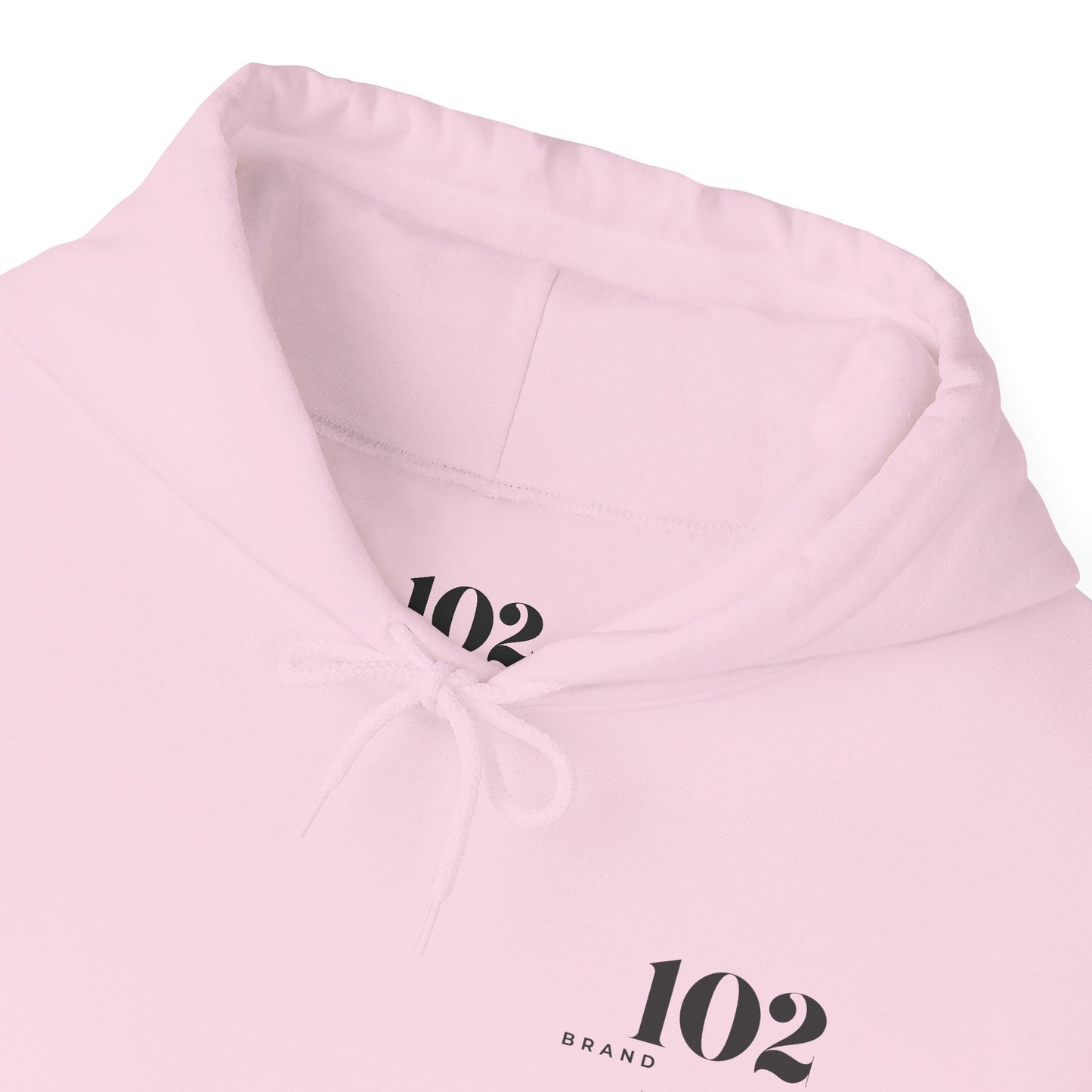 Disciple Hoodie — Matthew 28:19
