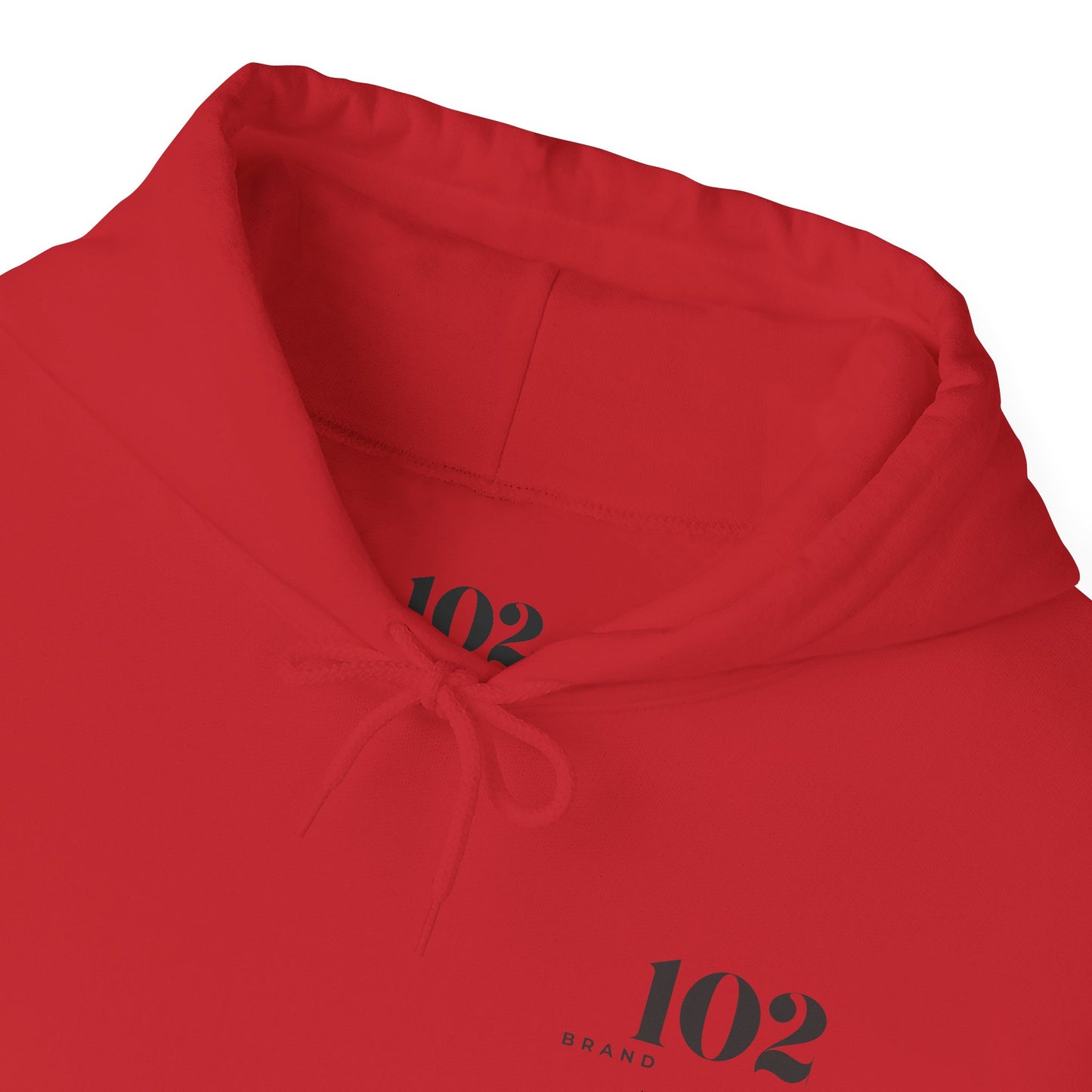 Disciple Hoodie — Matthew 28:19