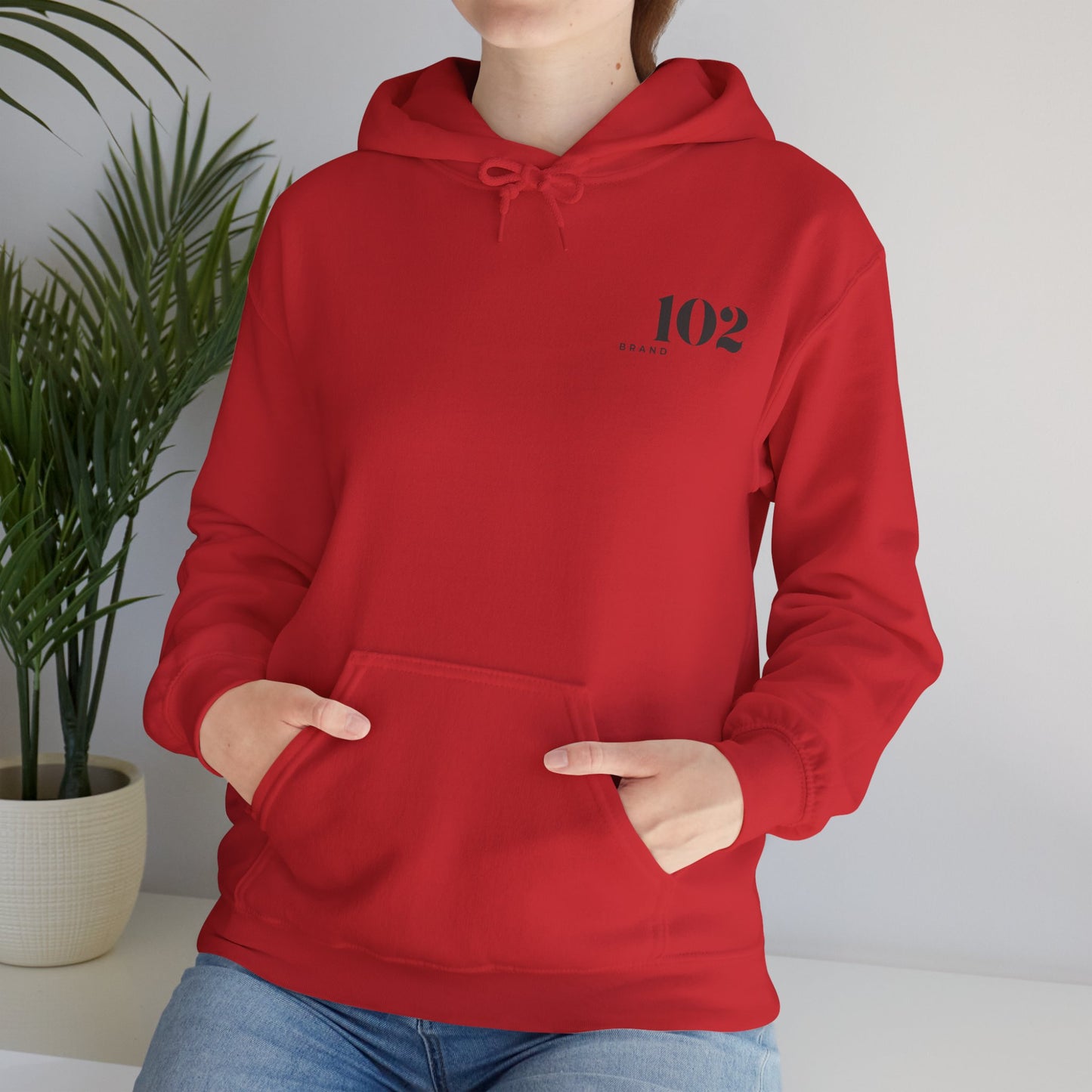 Disciple Hoodie — Matthew 28:19