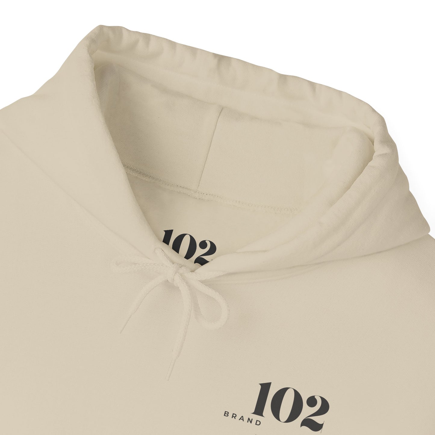 Disciple Hoodie — Matthew 28:19
