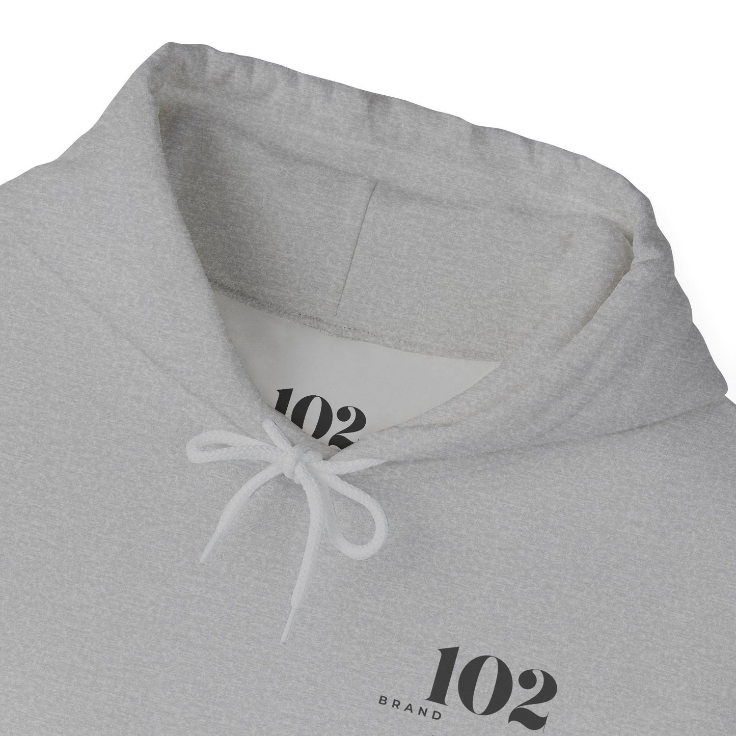 Disciple Hoodie — Matthew 28:19