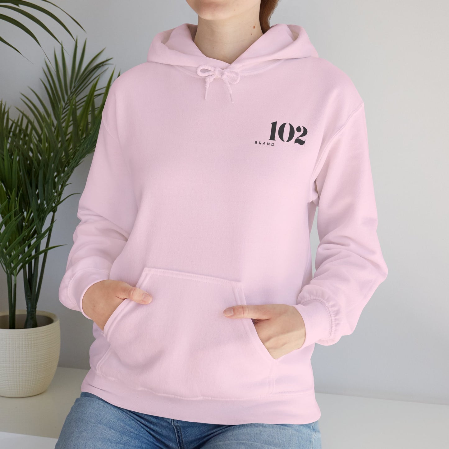 Disciple Hoodie — Matthew 28:19
