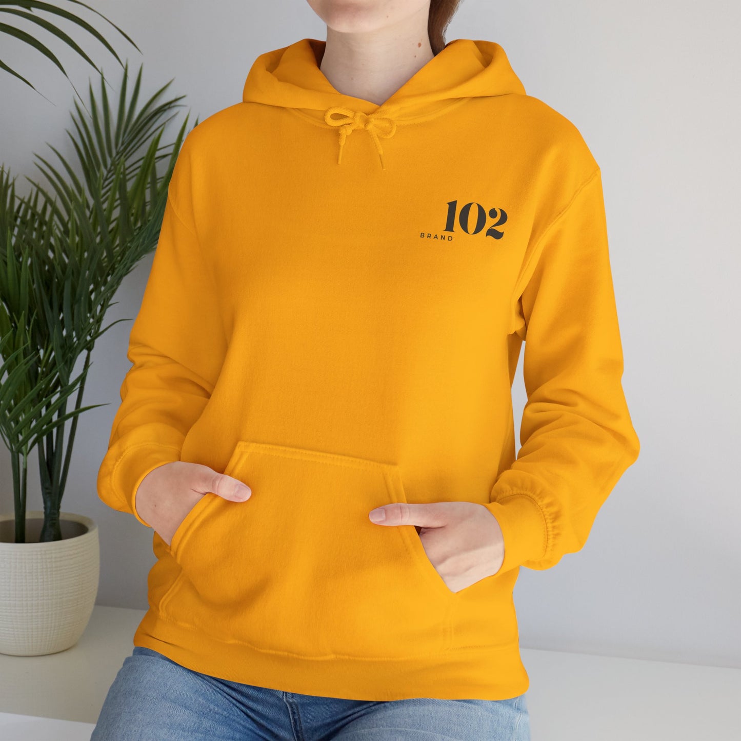 Disciple Hoodie — Matthew 28:19