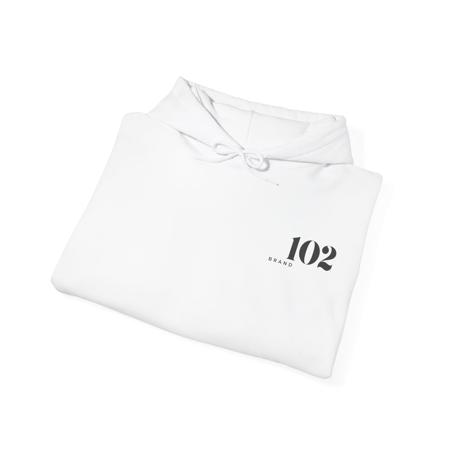 Disciple Hoodie — Matthew 28:19