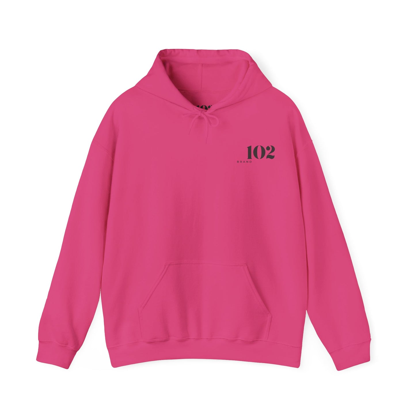 Disciple Hoodie — Matthew 28:19