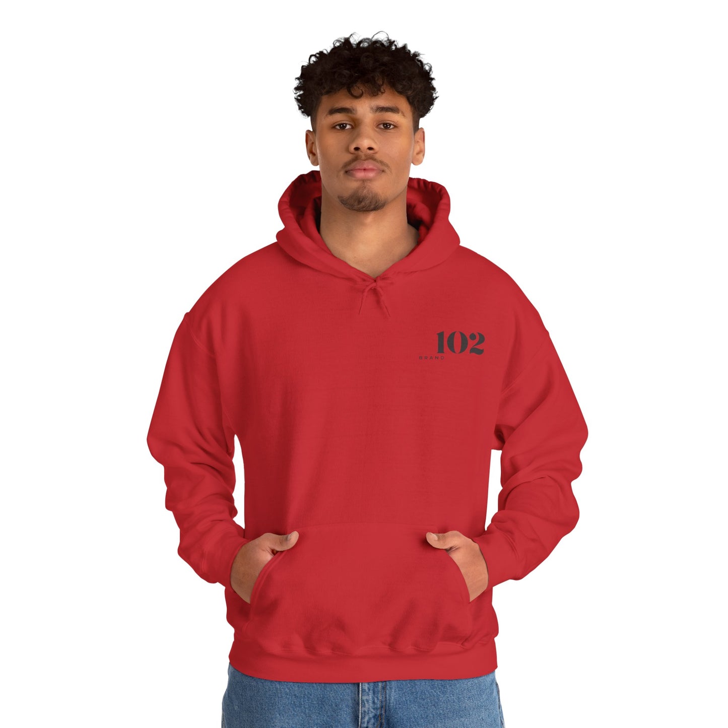 Disciple Hoodie — Matthew 28:19