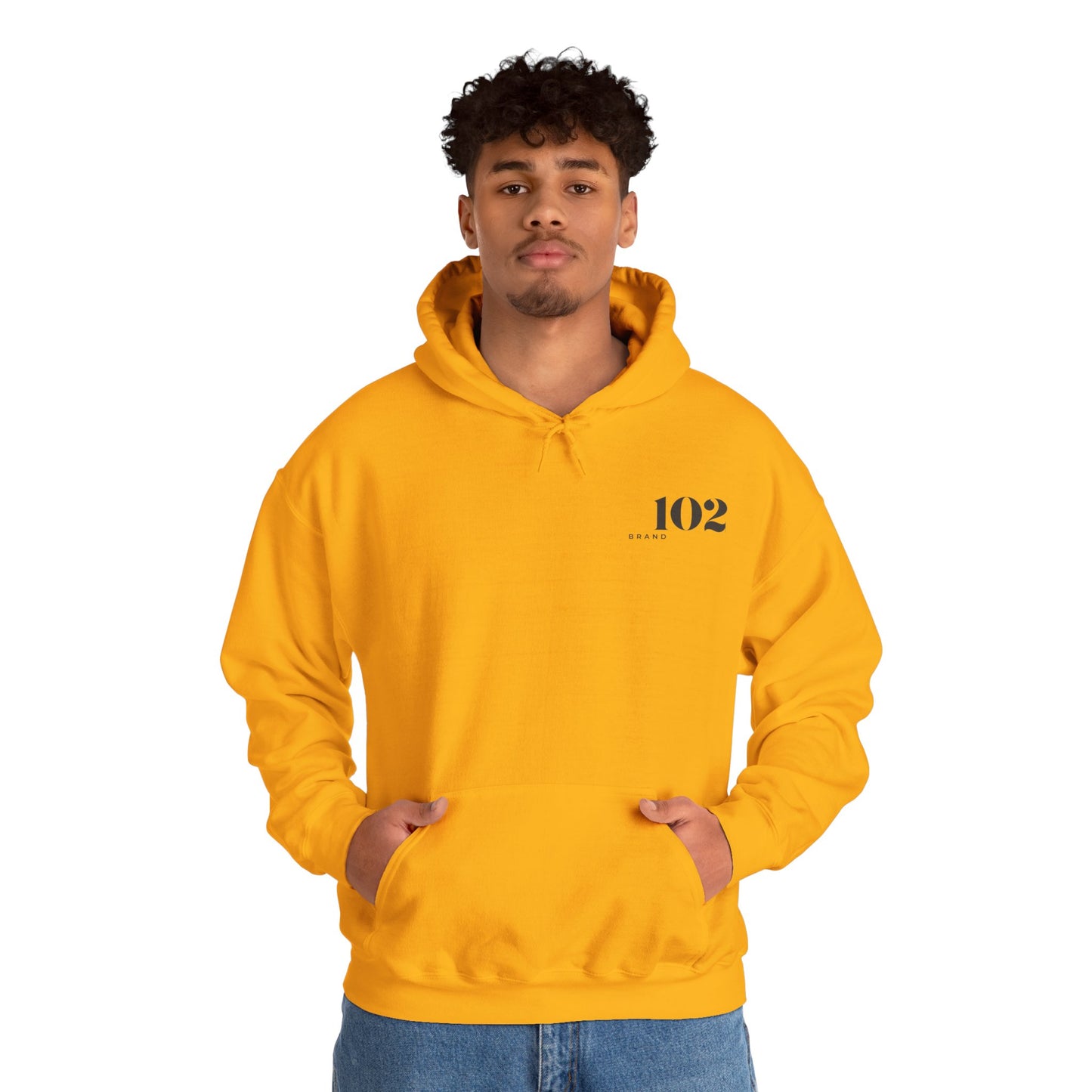 Disciple Hoodie — Matthew 28:19