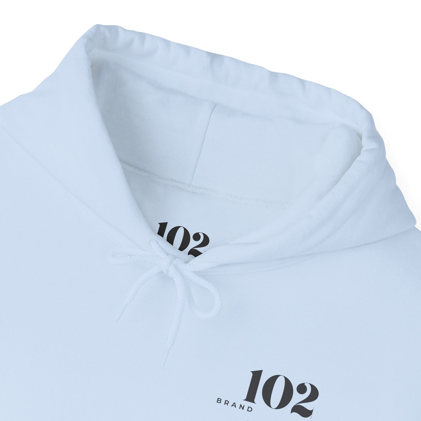 Disciple Hoodie — Matthew 28:19