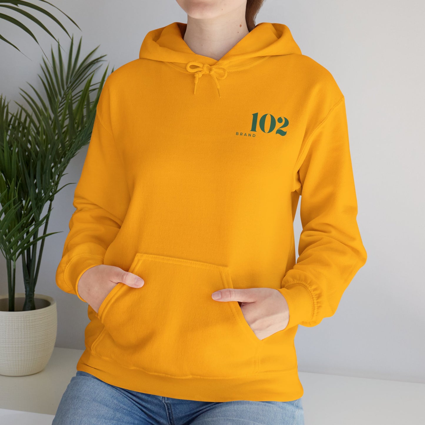 Repent & Believe Hoodie — Mark 1:15