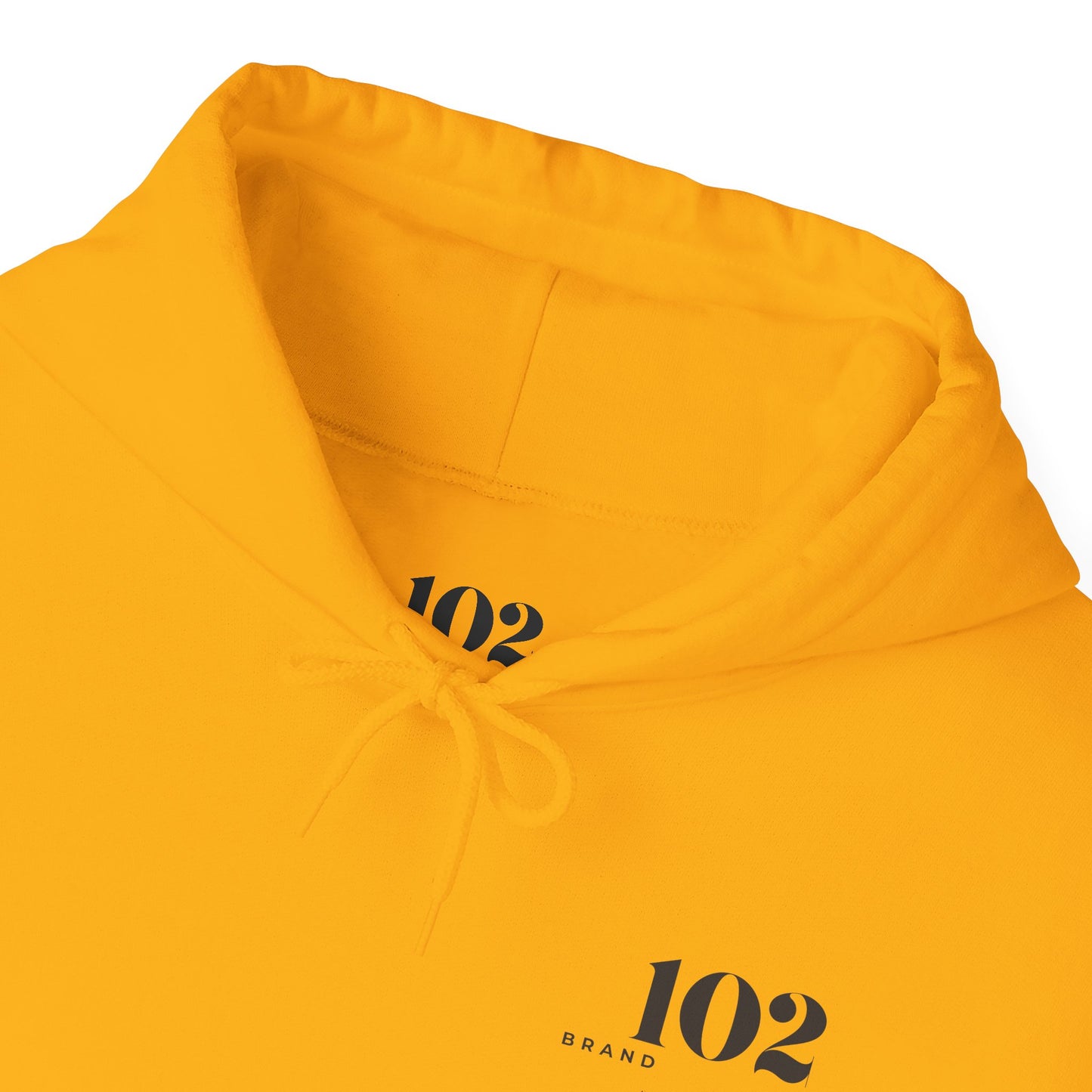 Disciple Hoodie — Matthew 28:19
