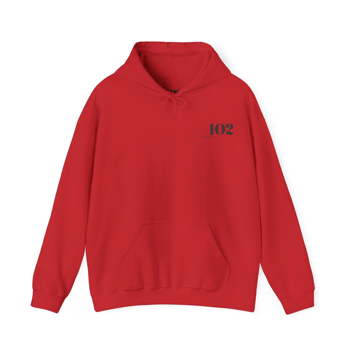 Disciple Hoodie — Matthew 28:19