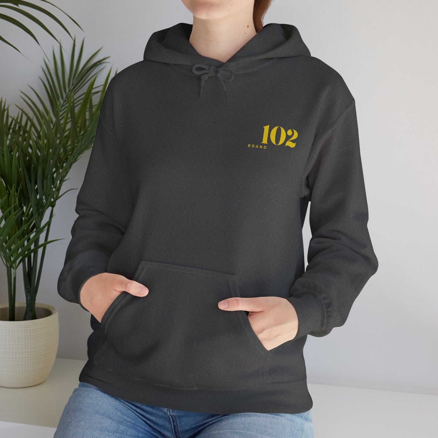 Always Be Prepared Hoodie — 1 Peter 3:15