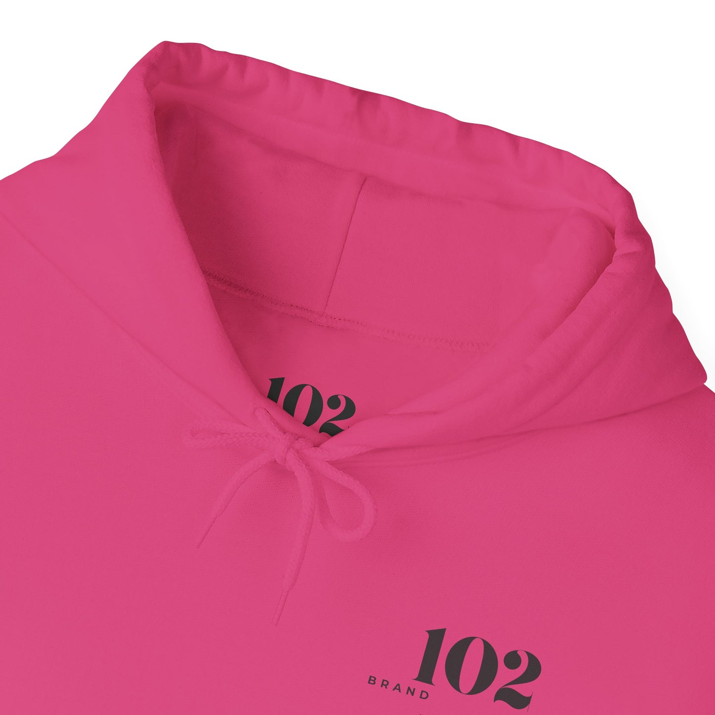 Disciple Hoodie — Matthew 28:19