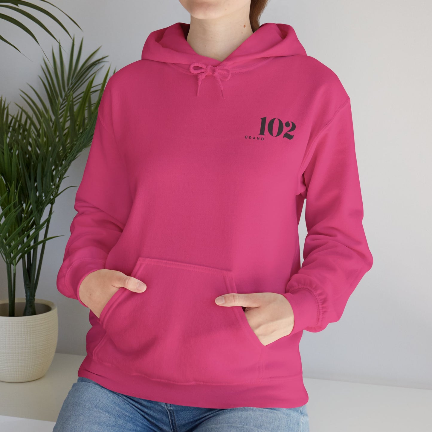 Disciple Hoodie — Matthew 28:19