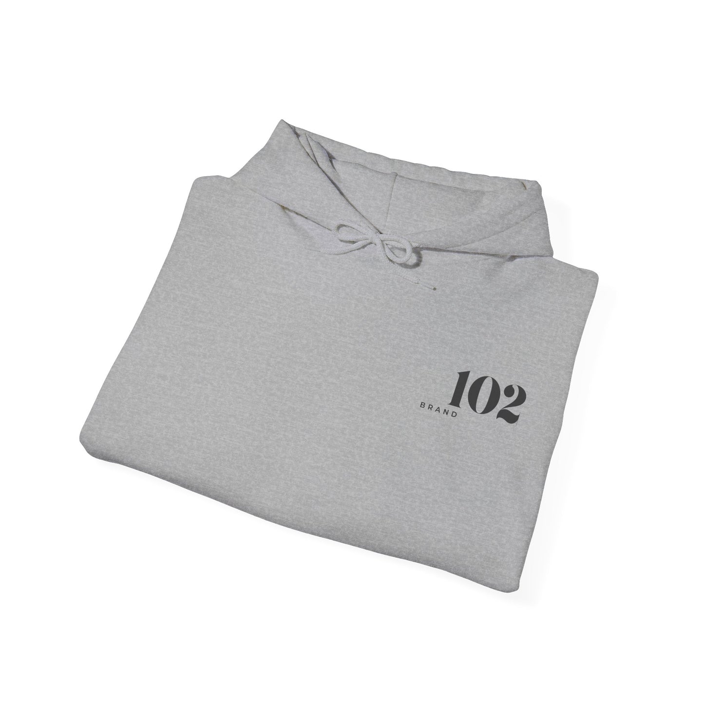 Disciple Hoodie — Matthew 28:19