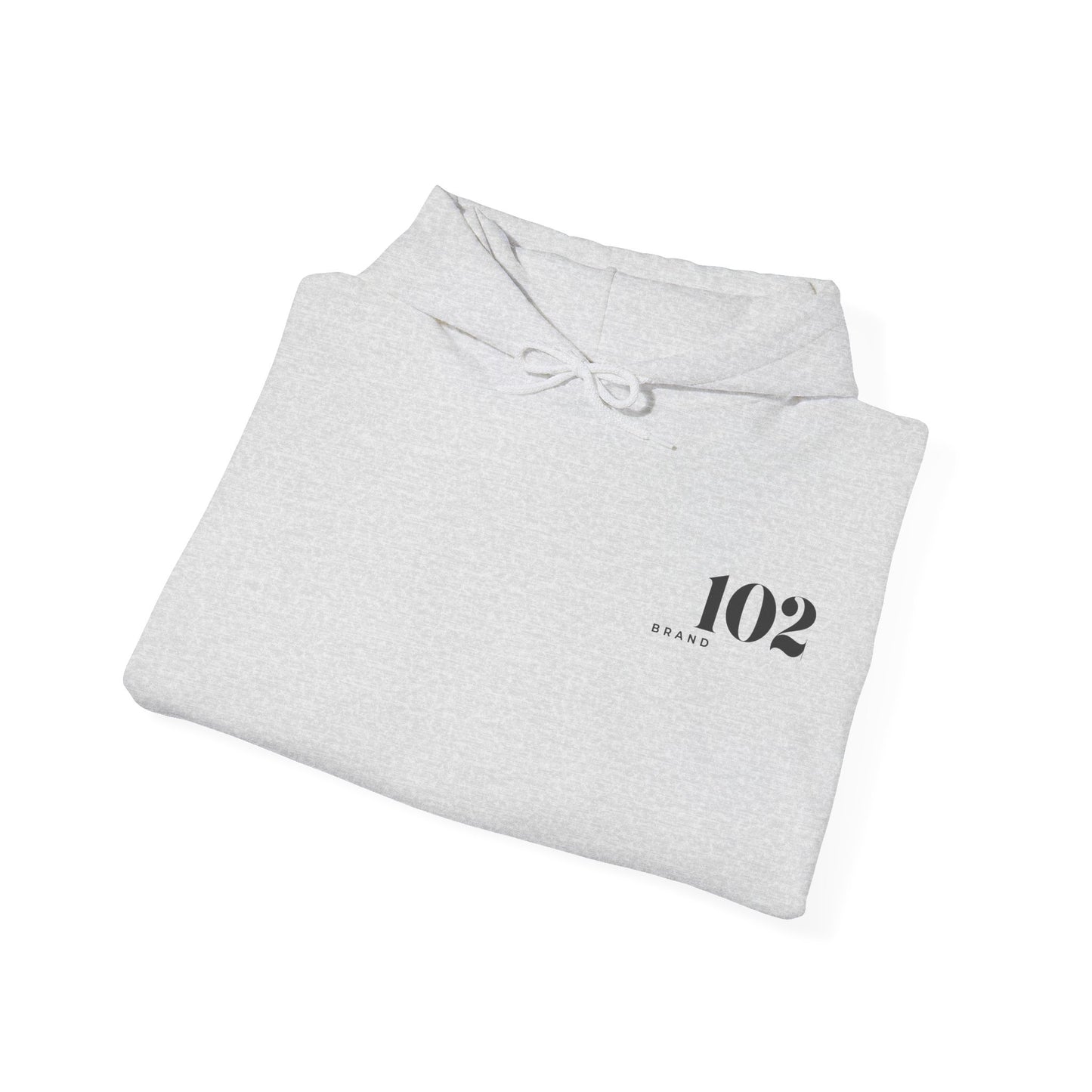 Disciple Hoodie — Matthew 28:19