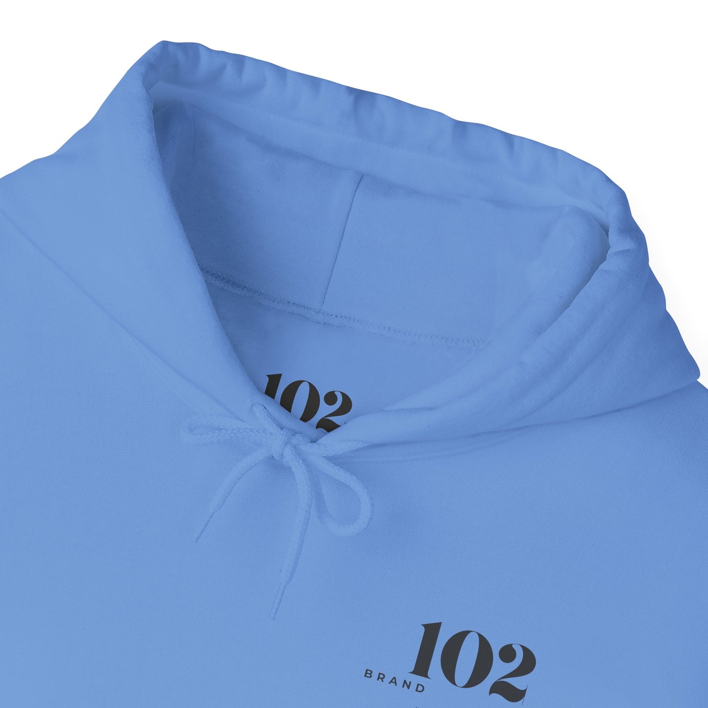 Disciple Hoodie — Matthew 28:19