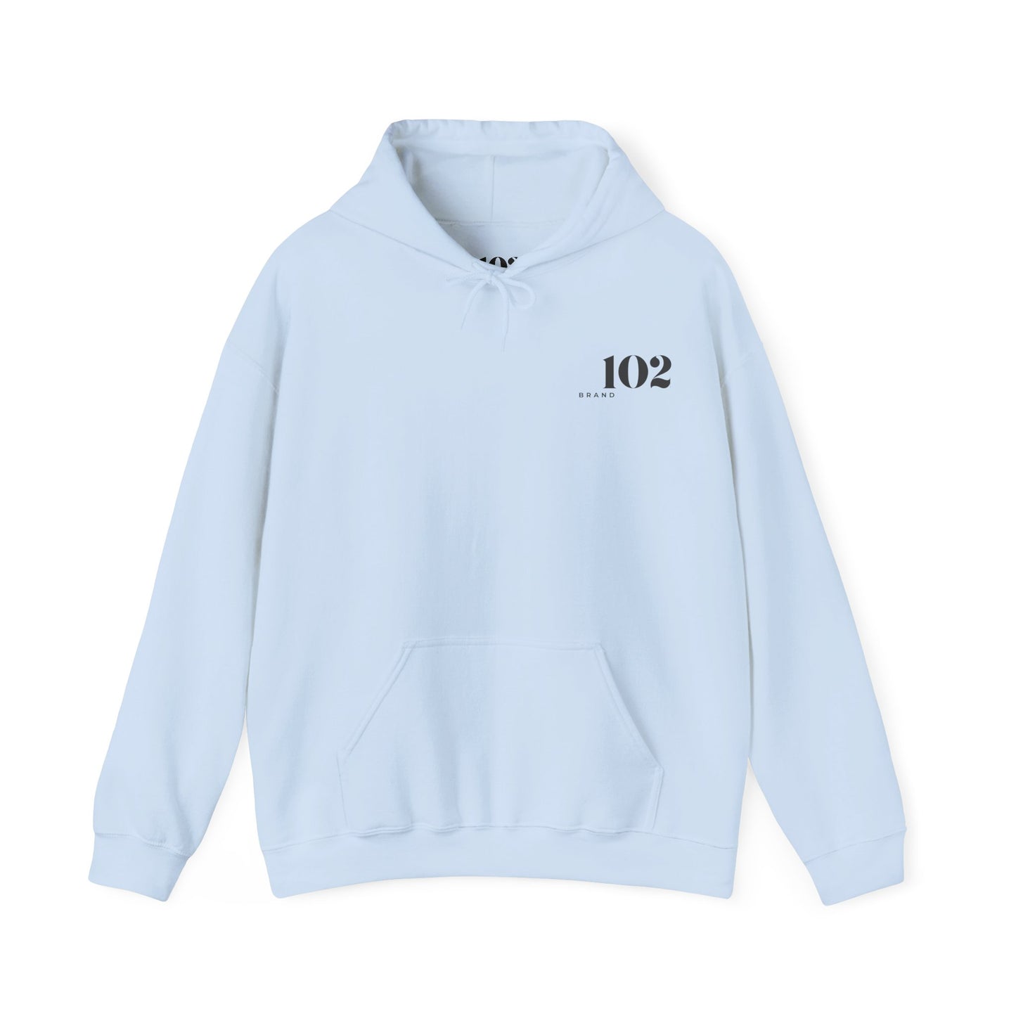 Disciple Hoodie — Matthew 28:19