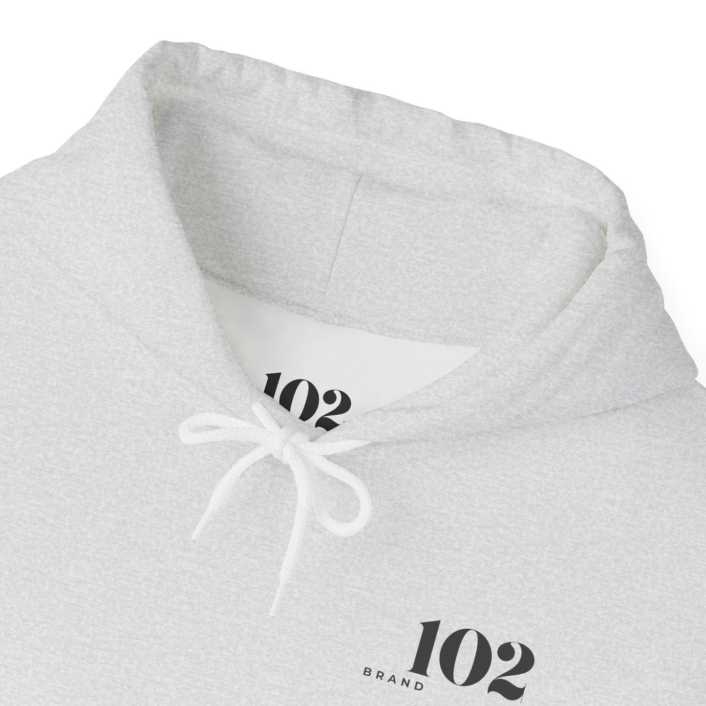 Disciple Hoodie — Matthew 28:19