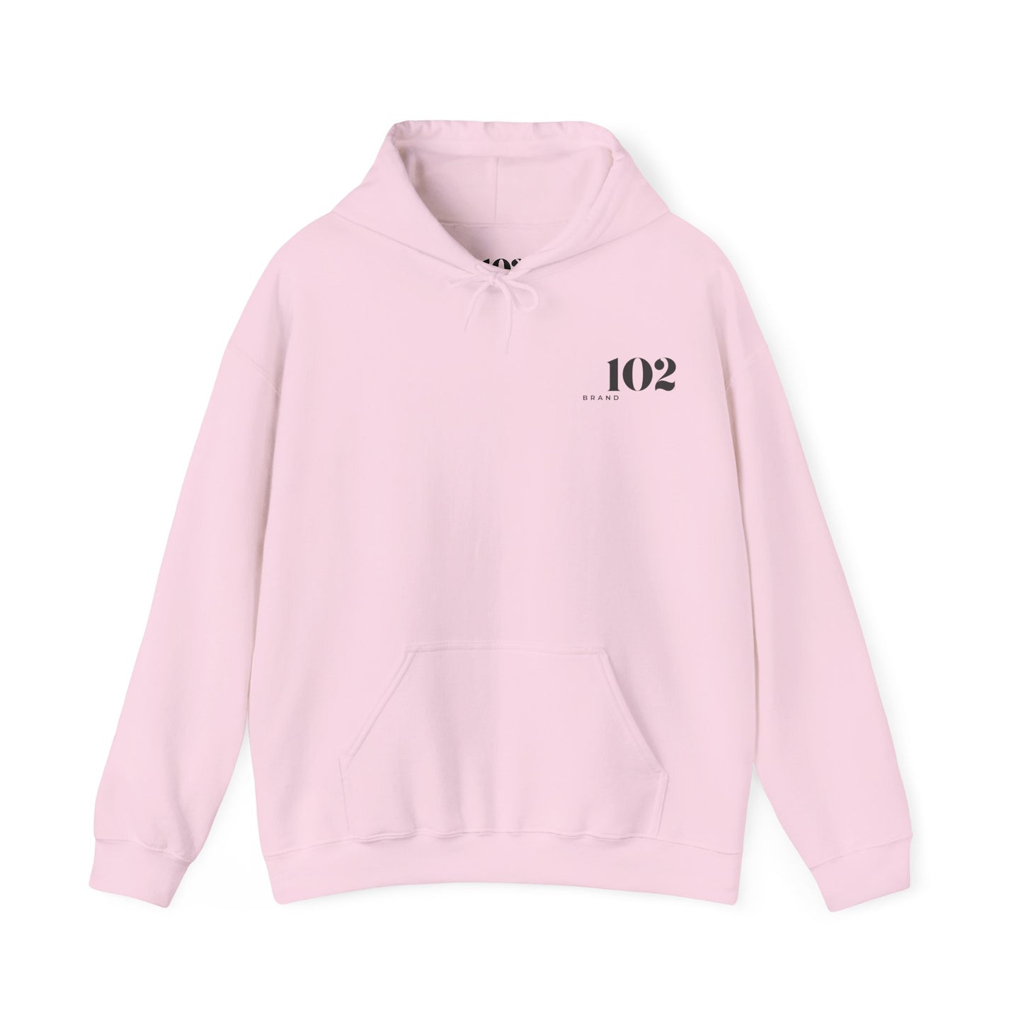 Disciple Hoodie — Matthew 28:19