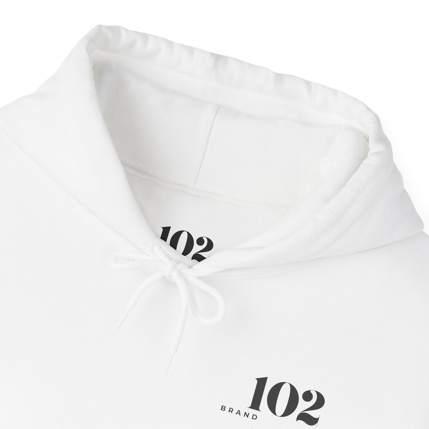 Disciple Hoodie — Matthew 28:19